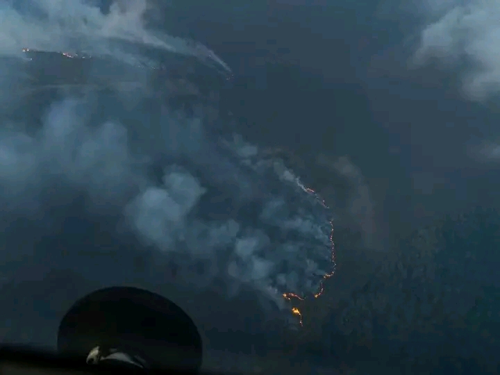 Mount Kenya Fires: What Is Happening, Causes, Impact and the Ongoing Fight Against the Blaze