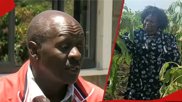 Mystery Deepens as 53-Year-Old Lily Kimtai Goes Missing in Trans Nzoia, Husband’s Gun Also Disappears