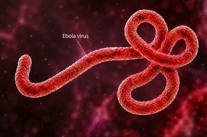 Kenya Medical Association Calls for Protective Equipment for Health Workers Amid Ebola Threat