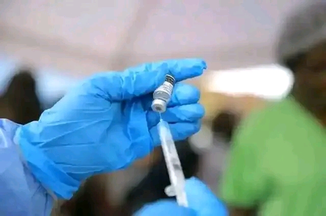 France Reports First Case of Shamonda Virus: What We Know About the Report, Symptoms, Transmission and Public Health Concerns