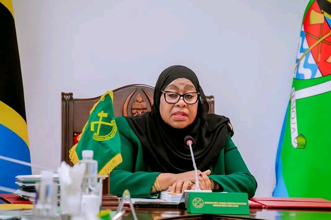 Rights Groups Blast Tanzanian President Over ‘Crack the Whip’ Call on Youth Protests
