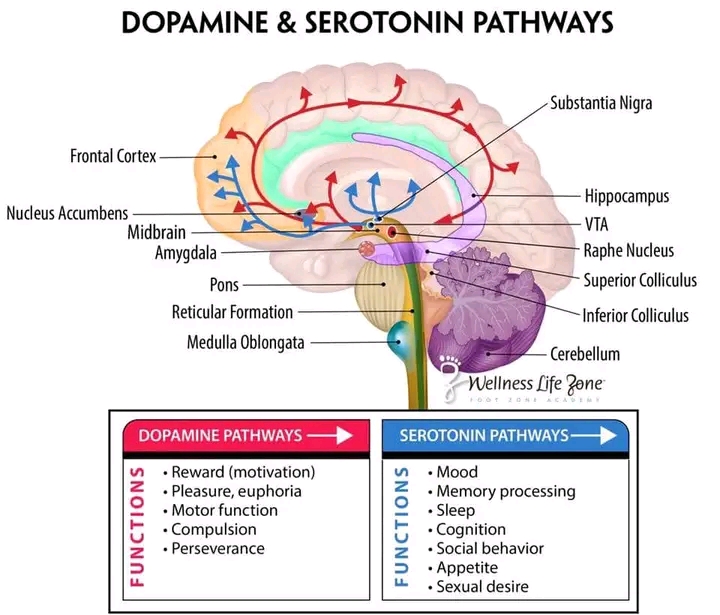 Impact of psychoeducation on mental health