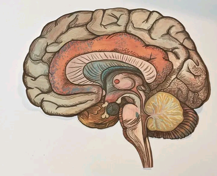 Abnormal psychology