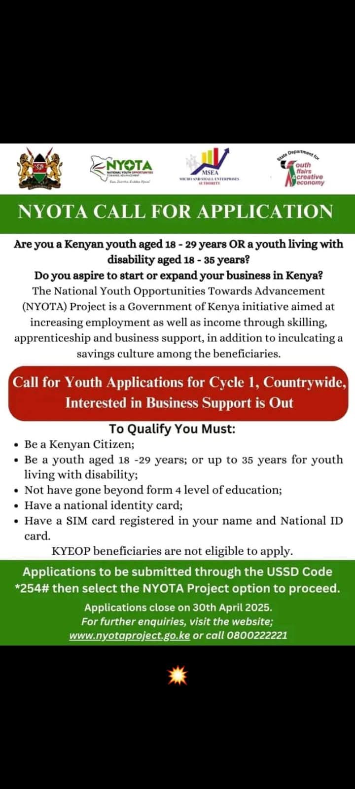 KENYA youths Set to Benefit from Nyota plan. Check how to apply