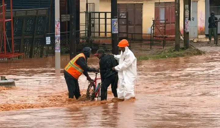 Kenya Weather Alert: 23 Counties Set for Rainfall as Strong Winds Sweep Northern Kenya Today