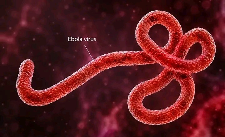 Ebola Update: 20 People Discharged from Quarantine as 98 Remain Under Monitoring in Kenya