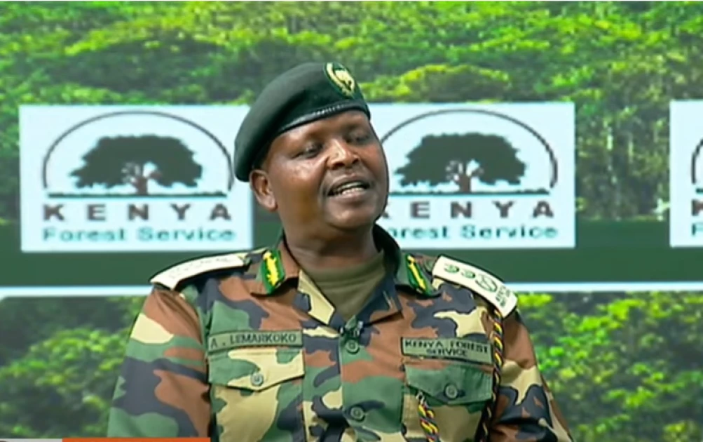 Forest boss accuses Friends of Karura of embezzling funds