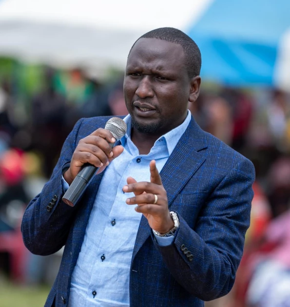 Senator Cheruiyot Shifts Blame to IG Over Rose Njeri Arrest