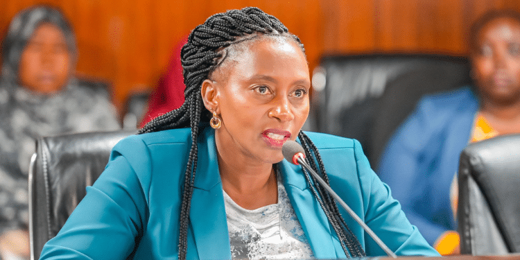 Gov’t Move to Revoke Nicotine Product Licences Meant to Protect Youth and Curb Addiction, Says Health PS Muthoni